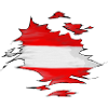 The Austrian flag