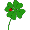 Lucky clover leaf with ladybug