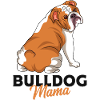 English bulldog