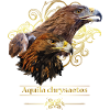 golden eagle