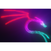 kali linux