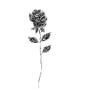 Rose with Moon