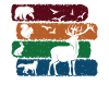 Animals pattern