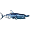 Shark | Low Poly
