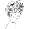 Fleurs dans les cheveux