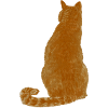 Blonde Cat