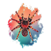 Tarantula
