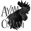 Ayam Cemani