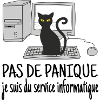 chat informaticien