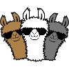 3 llama friends