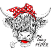 Tee shirt jolie vache