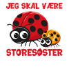 Jeg skal være storesøster mariehøne gave fødsel