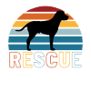 Rescue Dog