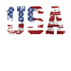 USA flag