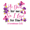 Christian bible verset fleur papillon