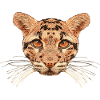 Store katte outfit, skyet leopard, stor kat