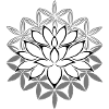 Lotus Lotus Flower Flower of Life
