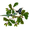 Bunter Vogel