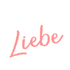 Pferd Reiten Pferdeliebe