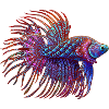 Betta Zentangle colour