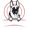Belgian Malinois