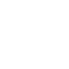 The Coach