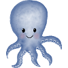 Octopus squid