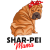 Shar Pei