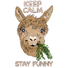 Keep calm stay funny - Alpaca