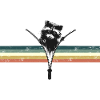 Süßer Waschbär - Retrostripes