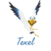 Lachmöwe Texel
