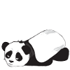 Kein morgendliches Mensch-Grumpy Panda