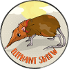 Elephant Shrew
