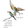 Bee-eaters