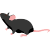 Rat animal gift saying