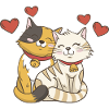 Cat love