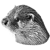otter head