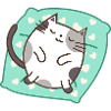 sleeping cat