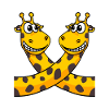 Giraffes giraffe