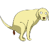 Pooping Dog Chien caca