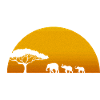 Eléphants, éléphants au Sahara