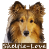 Sheltie-Love