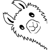 Lama looks sideways