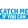Logo Catch game
