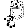 Panda pocket