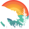 a bear