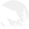 grand ours