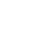 Official Administrator