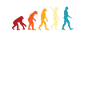 Contrebasse Evolution