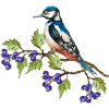 Bunter Vogel